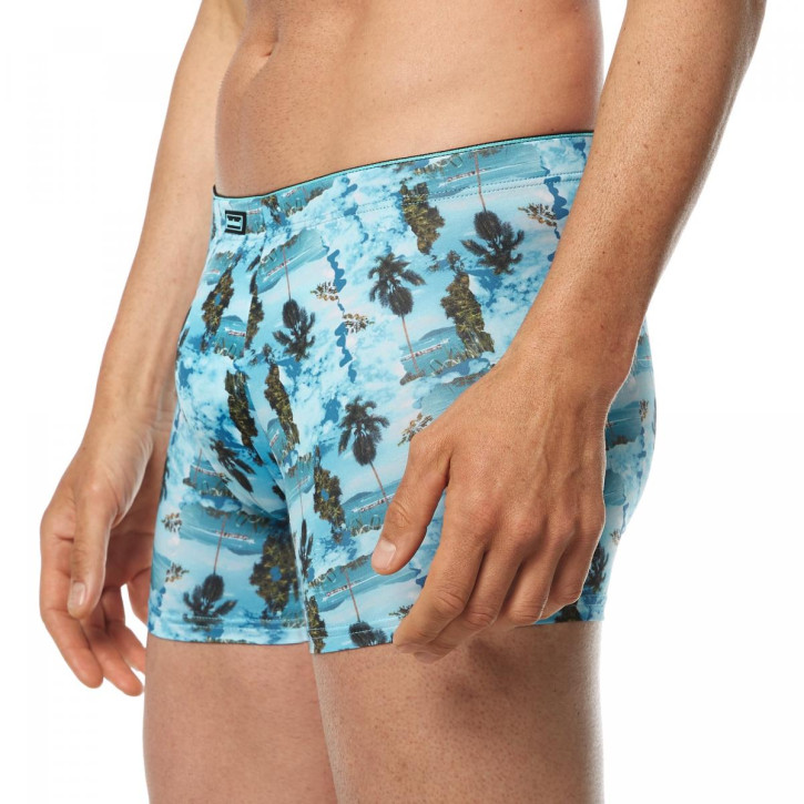 bruno banani Long Beach Short (88% Polyester, 12% Elasthan) S