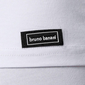 bruno banani Infinity V-Shirt (47% Baumwolle, 47% Modal, 6% Elasthan) L / Weiss